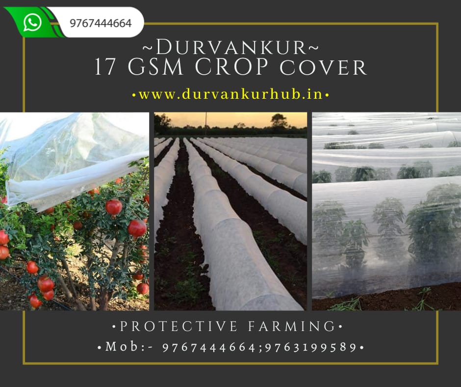 Crop Support Net