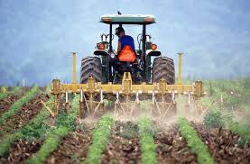 Crop Support Net